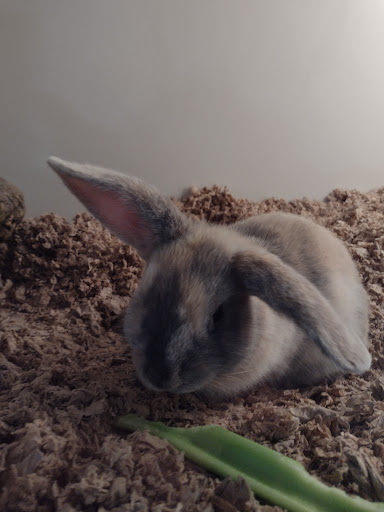 Pet Supply Store «PetSmart», reviews and photos, 12341 Seal Beach Blvd, Seal Beach, CA 90740, USA