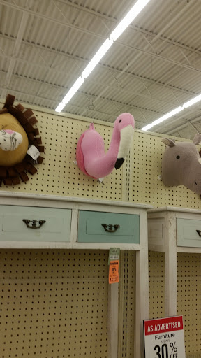 Craft Store «Hobby Lobby», reviews and photos, 1717 Old Fort Pkwy, Murfreesboro, TN 37129, USA