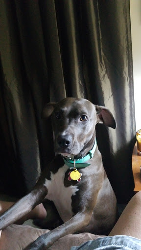 Jewelry Store «Tiffany & Co.», reviews and photos, 2223 N Westshore Blvd, Tampa, FL 33607, USA