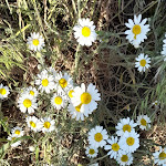 Photo n°4 de l'avis de Heidi.a fait le 31/05/2023 à 11:00 sur le  La Porte GmbH & Co. KG à Bertingen