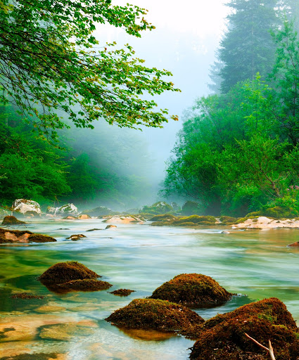 American Restaurant «Cracker Barrel Old Country Store», reviews and photos, 6941 Charlotte Pike, Nashville, TN 37209, USA