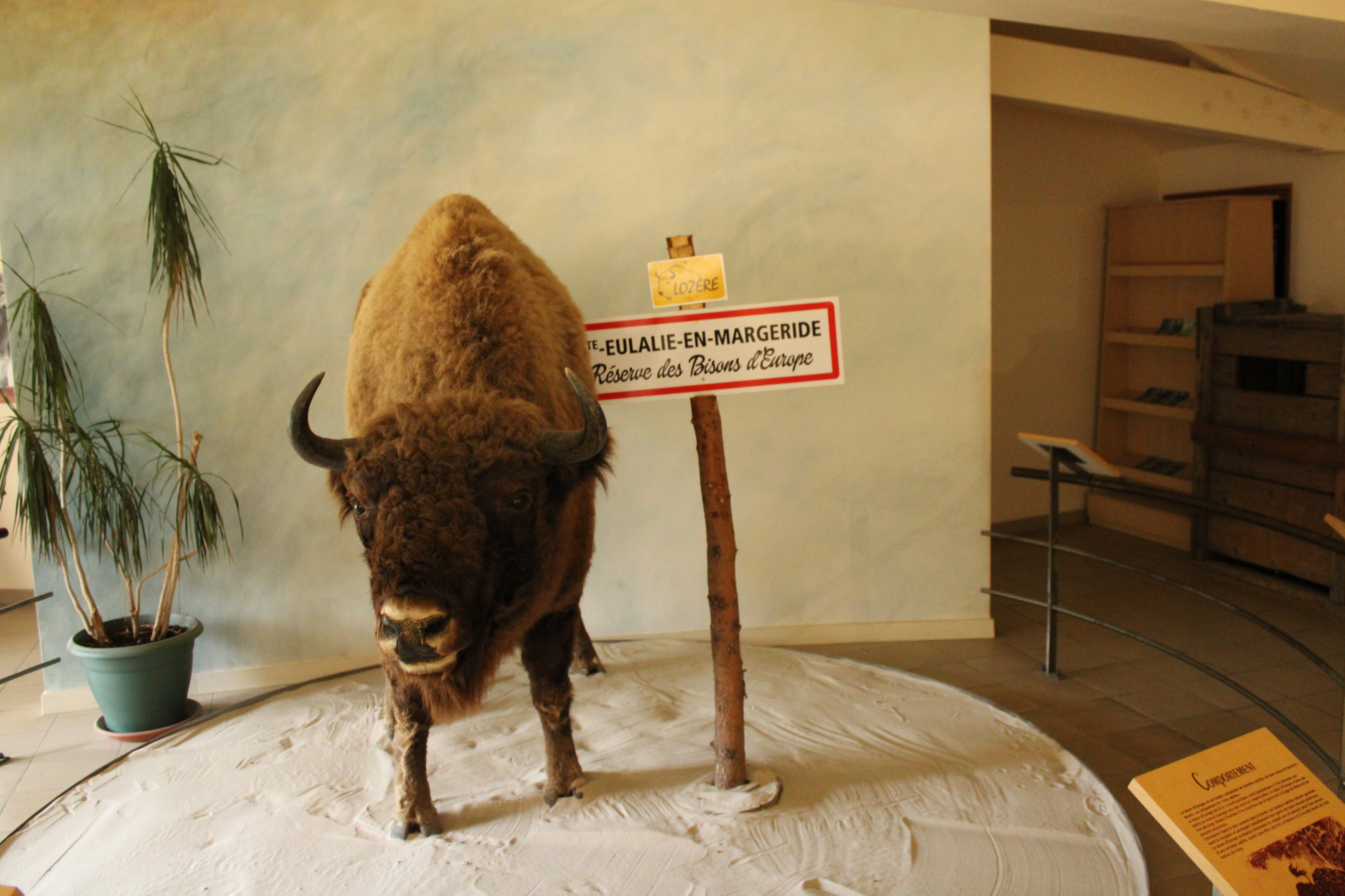 Photo n° 8 de l'avis de Brandon.i fait le 20/10/2020 à 16:26