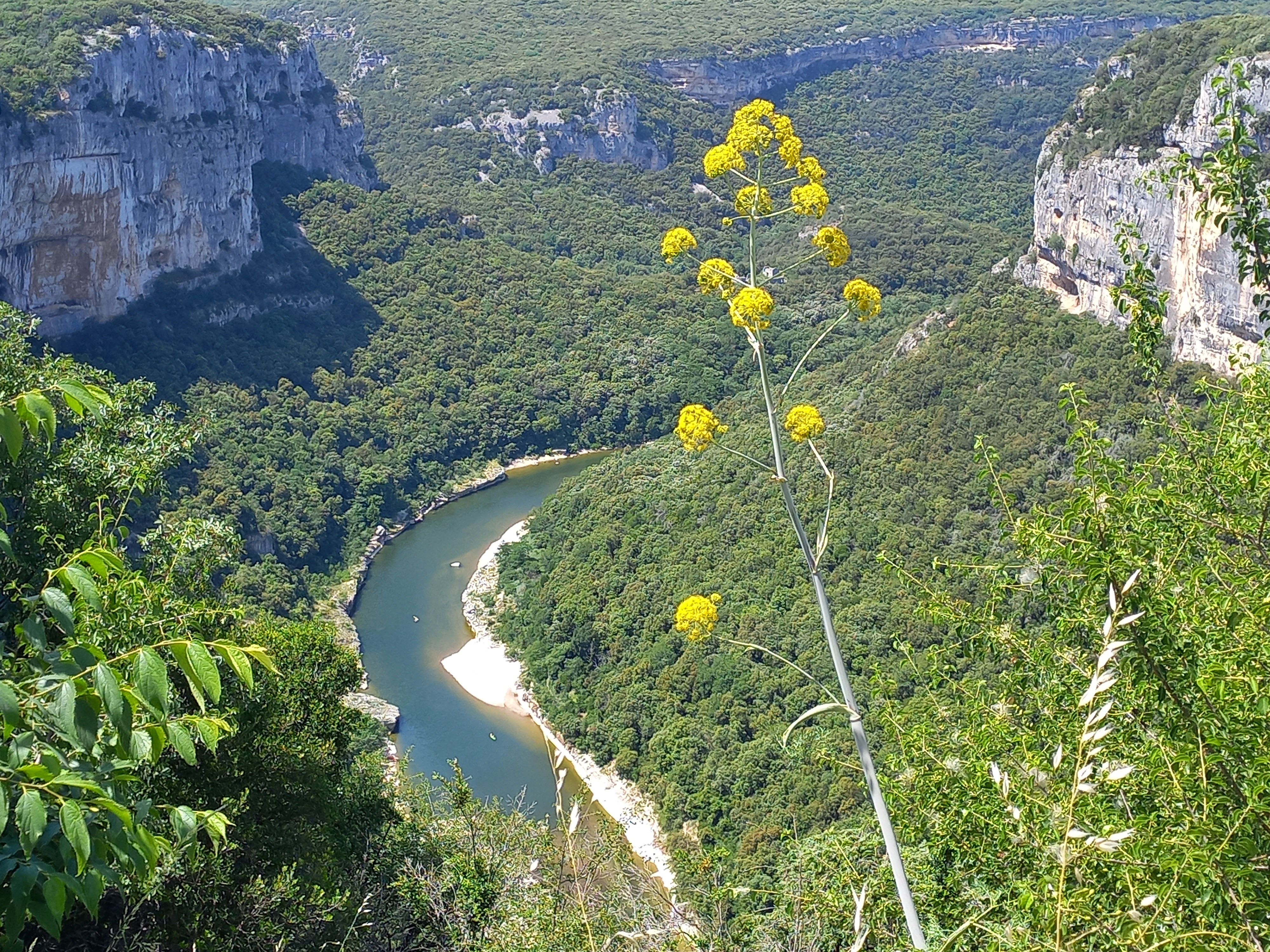 Photo n° 15 de l'avis de Isabelle.h fait le 20/05/2022 à 15:04