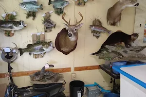 Maire's Taxidermy Bait & Tackle image