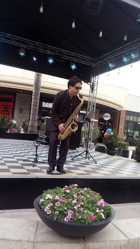 Opiniones de Clases De Saxo Clarinete Flauta Traversa en San Joaquín - Escuela