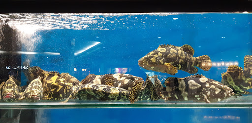 K & S BEST SEAFOOD SDN BHD - Seafood Wholesaler in Bandar Sungai Long