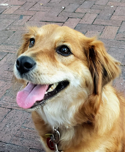 Explore funny friend tattoo ideas, creative tattoo ideas in Crofton, available at mystic piercing & tattoo crofton md