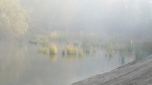 Nature Preserve «Effie Yeaw Nature Center», reviews and photos, 2850 San Lorenzo Way, Carmichael, CA 95608, USA