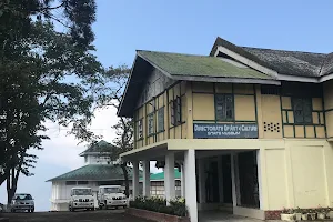 Nagaland State Museum image