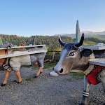 Photo n°4 de l'avis de Tanja.e fait le 03/10/2023 à 19:51 sur le  Alpe Mohr à Oberstaufen