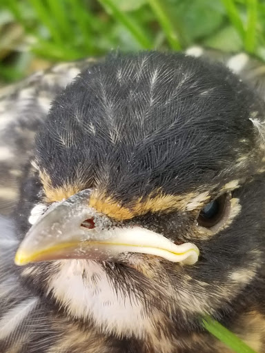 Amusement Park «Fun-Plex», reviews and photos, 7003 Q St, Omaha, NE 68117, USA