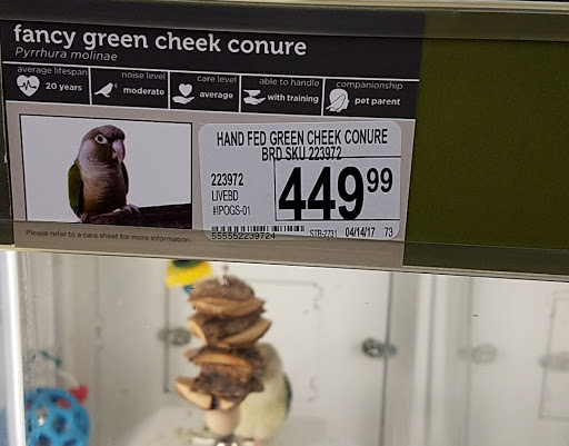 Pet Supply Store «Petco Animal Supplies», reviews and photos, 17235 Cole Rd, Hagerstown, MD 21740, USA