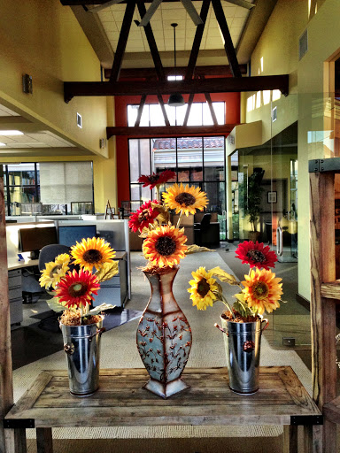 Insurance Agency «American Adventure Insurance», reviews and photos