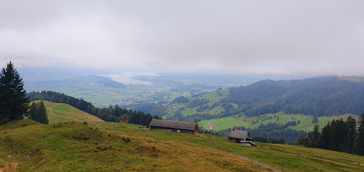 site_photo3
