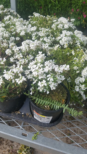 Home Improvement Store «The Home Depot», reviews and photos, 37 Ellisville Towne Centre Dr, Ellisville, MO 63011, USA