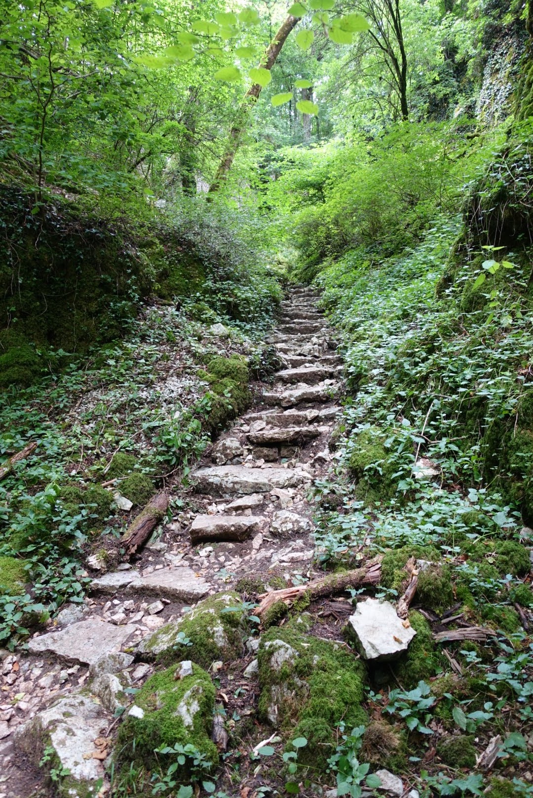 Photo n° 2 de l'avis de Patricia.c fait le 28/07/2018 à 14:11