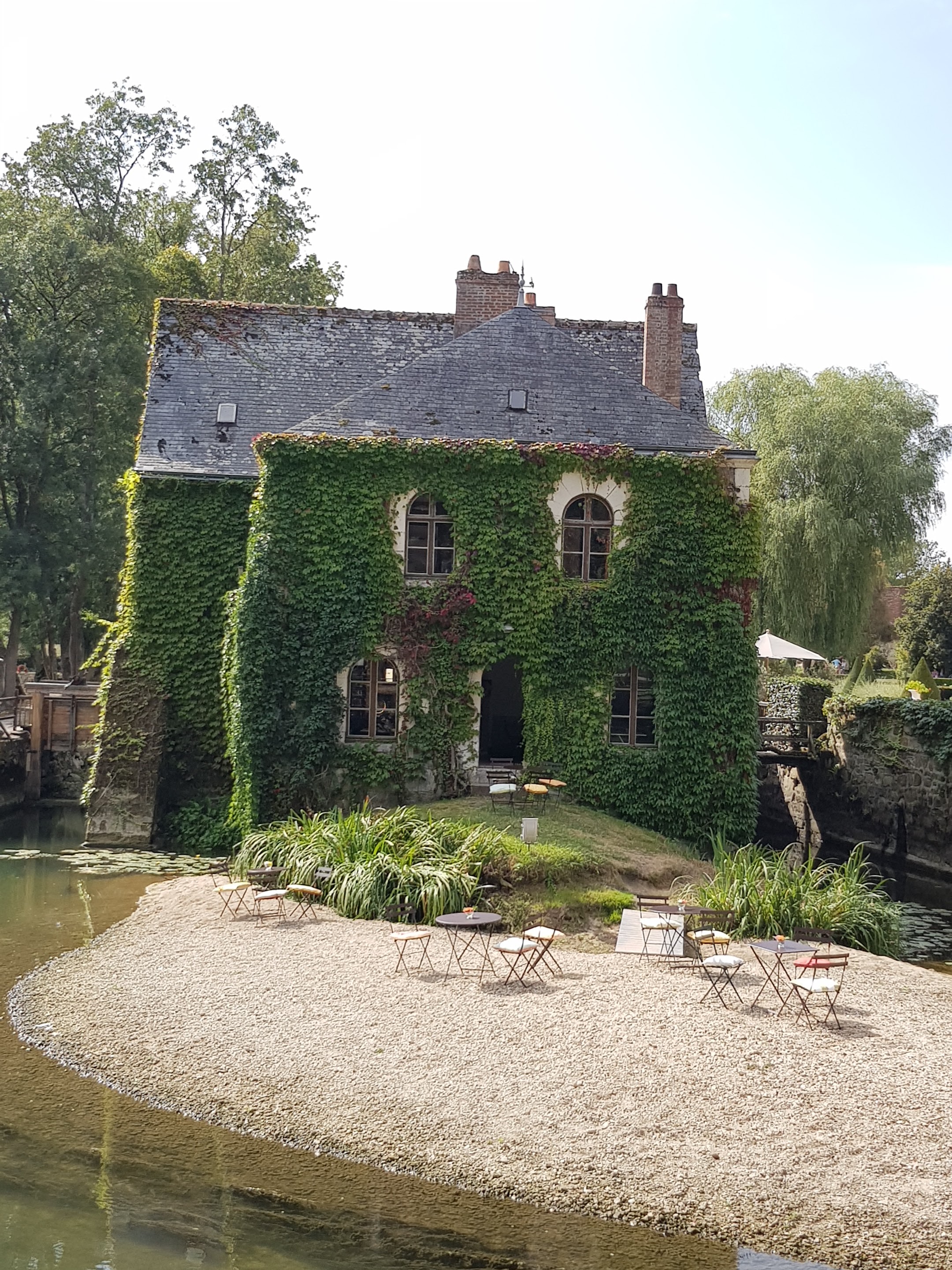 Photo n° 3 de l'avis de dragon. fait le 06/10/2018 à 13:05