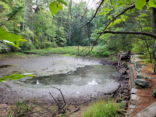 State Park «Great Brook Farm State Park», reviews and photos, 165 N Rd, Carlisle, MA 01741, USA