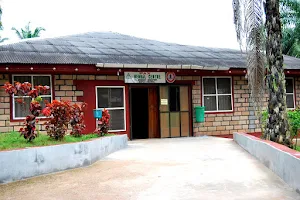 Pax Herbal Clinic and Research Laboratories image