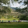 Mount Ogden Park