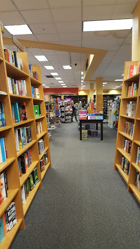 Book Store «Books-A-Million», reviews and photos, 2200 Wrangleboro Rd, Mays Landing, NJ 08330, USA