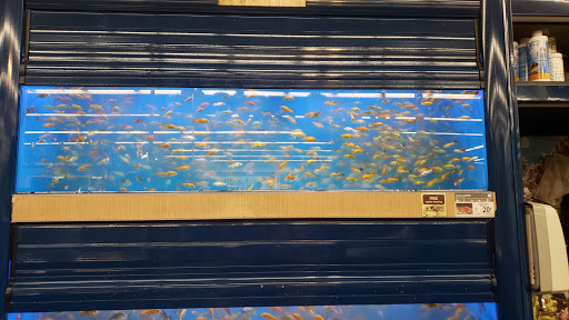 Pet Supply Store «Petco Animal Supplies», reviews and photos, 21348 Kuykendahl Rd, Spring, TX 77379, USA