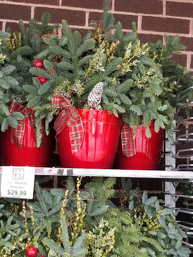 Discount Store «Ocean State Job Lot», reviews and photos, 30 Commercial St, Medford, MA 02155, USA