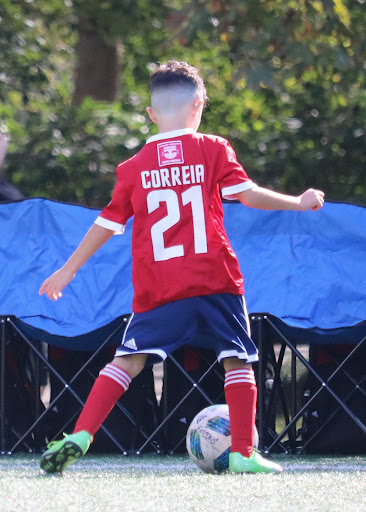 Explore violin tattoo ideas, creative tattoo ideas in Somerset, available at Benny binnu tattoo