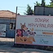 Manavgat Belediyesi Hayvan Barınağı🐕