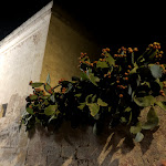 Photo n°12 de l'avis de massimiliano.a fait le 10/10/2019 à 12:58 sur le  Ristorante Pizzeria Al Paradiso presso Torri dell’Acqua à Santa Maria di Leuca