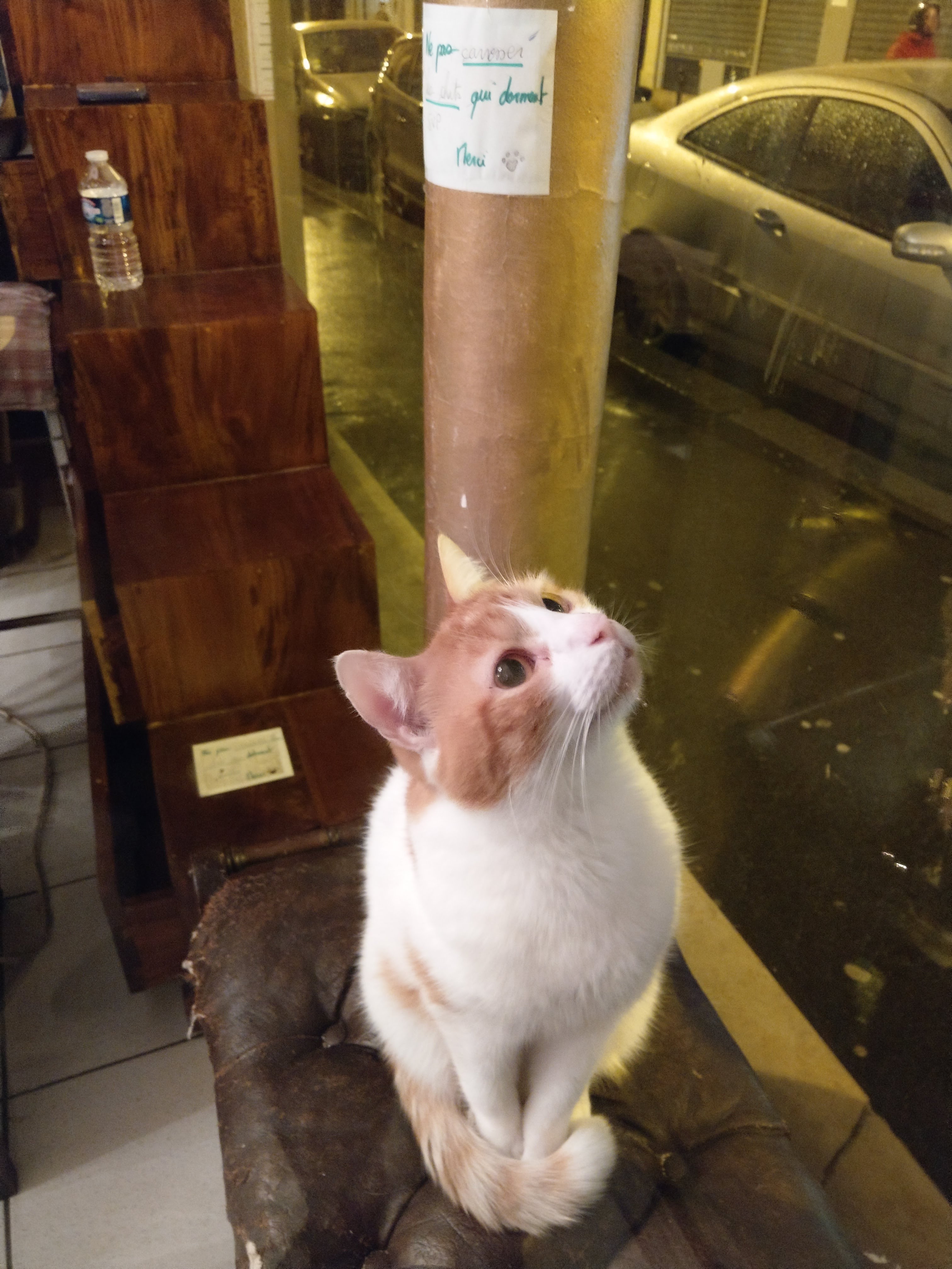 Photo n° 6 de l'avis de Jonathan.I fait le 23/01/2018 à 14:01