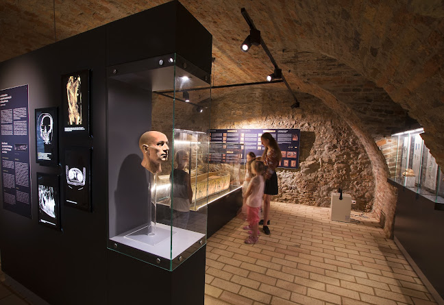 Értékelések erről a helyről: Pannonia Reformata Múzeum, Pápa - Múzeum