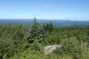 Hereford summit image