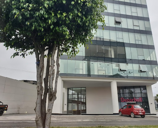 TESIS APOYO ACADÉMICO