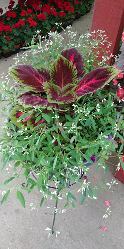 Garden Center «Agway», reviews and photos, 1025 Green St, Greensburg, PA 15601, USA