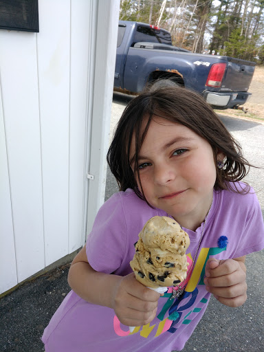 Ice Cream Shop «Blueberry Hill Dairy Bar», reviews and photos, 355 High St, Ellsworth, ME 04605, USA