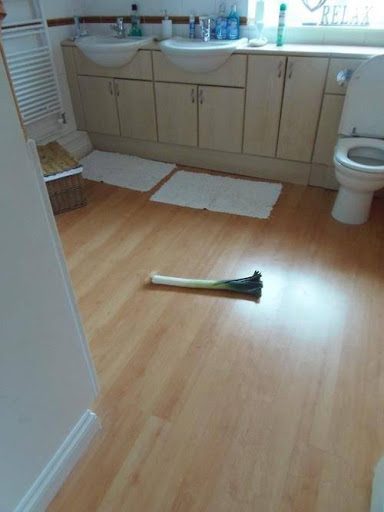 Plumber «Craig Johnson Plumbing & Rooter Service», reviews and photos, 10841 Rough and Ready Hwy, Grass Valley, CA 95945, USA