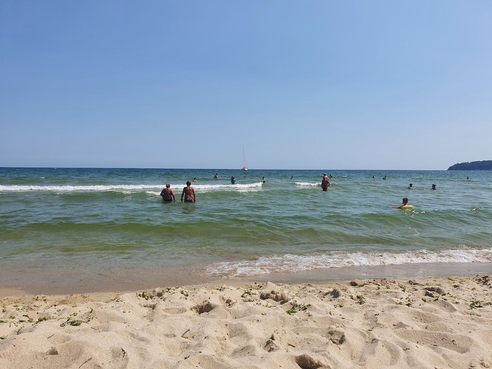 Foto de Officers' beach con muy limpio nivel de limpieza