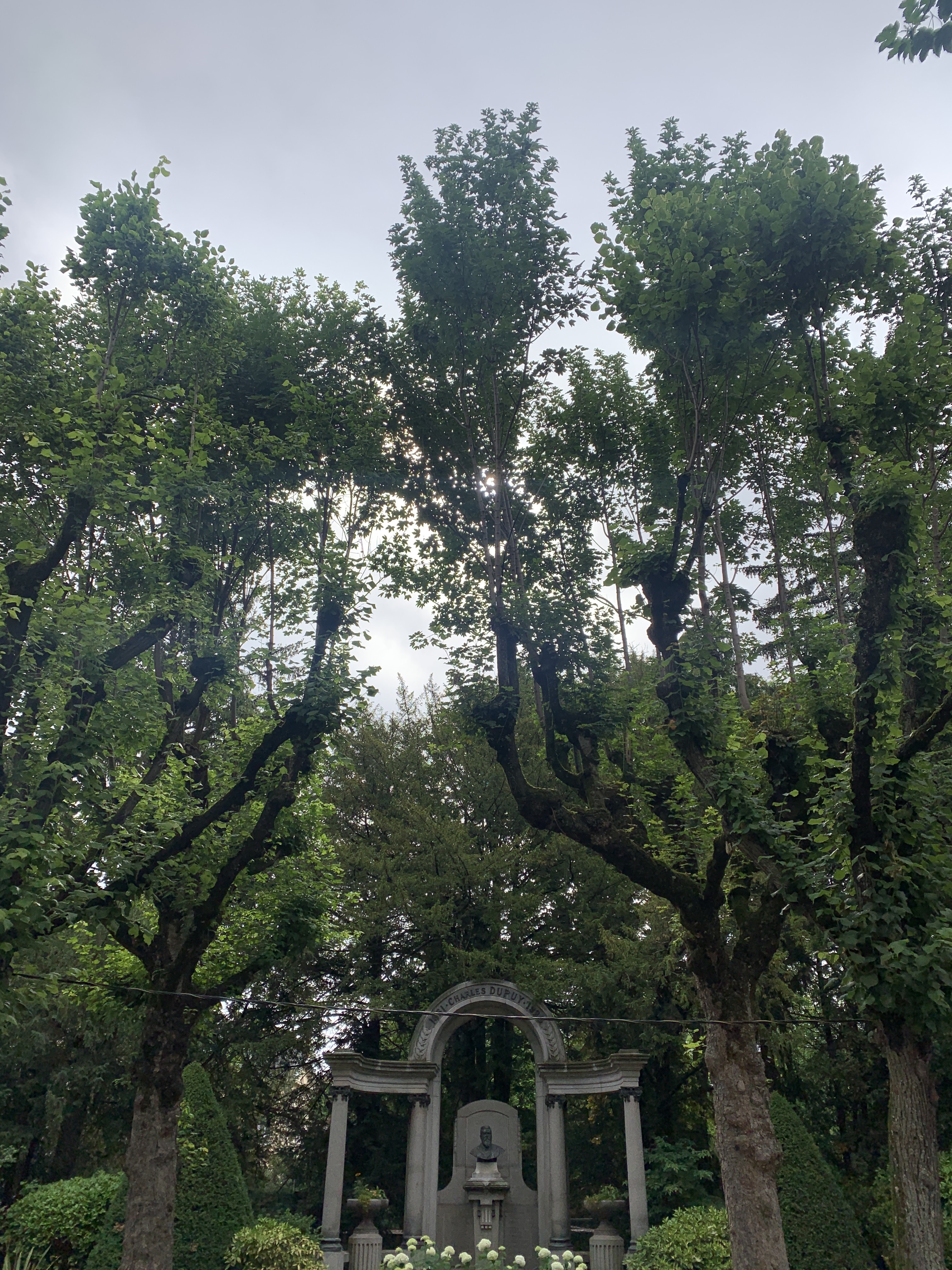 Photo n° 4 de l'avis de Grégory.a fait le 28/06/2022 à 19:34