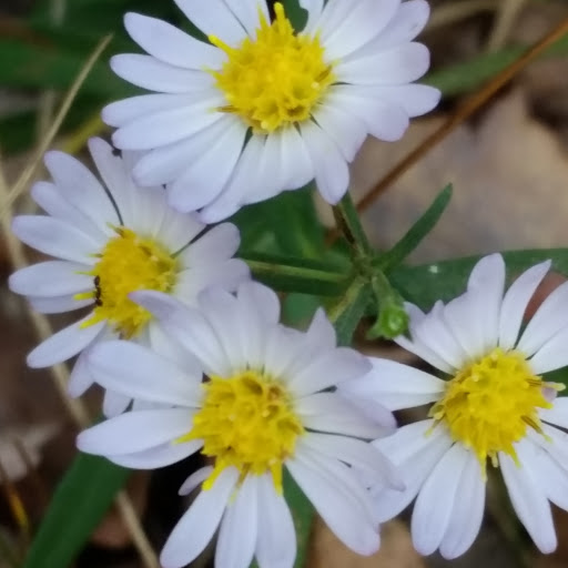 Wildlife Park «Charlie Elliott Wildlife Center», reviews and photos, 543 Elliott Trail, Mansfield, GA 30055, USA