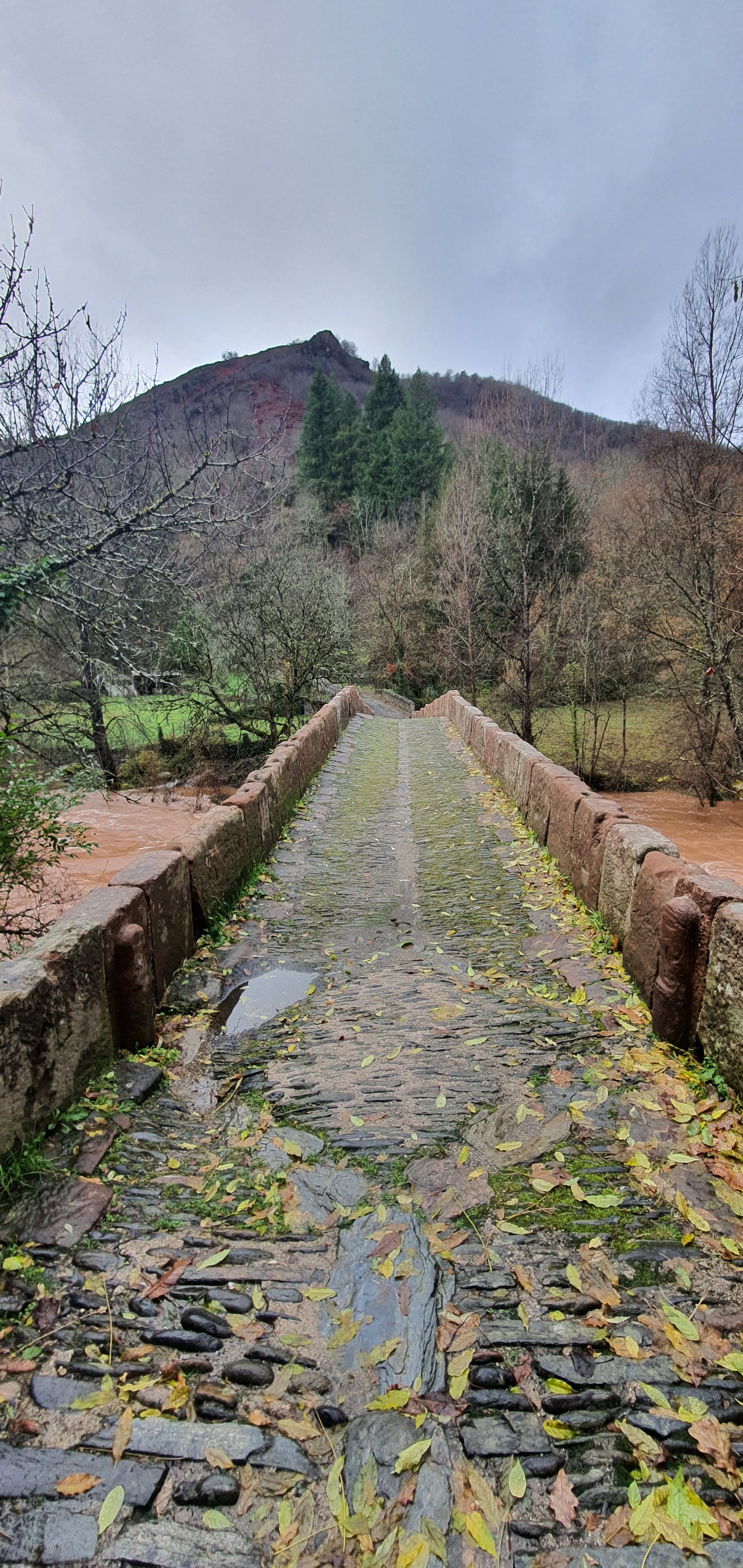 Photo n° 3 de l'avis de Luc. fait le 19/12/2021 à 11:27