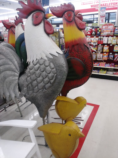 Home Improvement Store «Tractor Supply Co.», reviews and photos, 216 Susquehanna Blvd, West Hazleton, PA 18202, USA