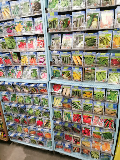 Home Improvement Store «The Home Depot», reviews and photos, 3401 Oakwood Blvd, Hollywood, FL 33020, USA