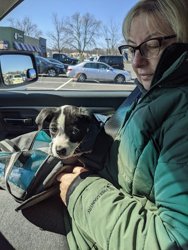 Pet Supply Store «PetSmart», reviews and photos, 2000 Clements Bridge Rd, Woodbury, NJ 08096, USA