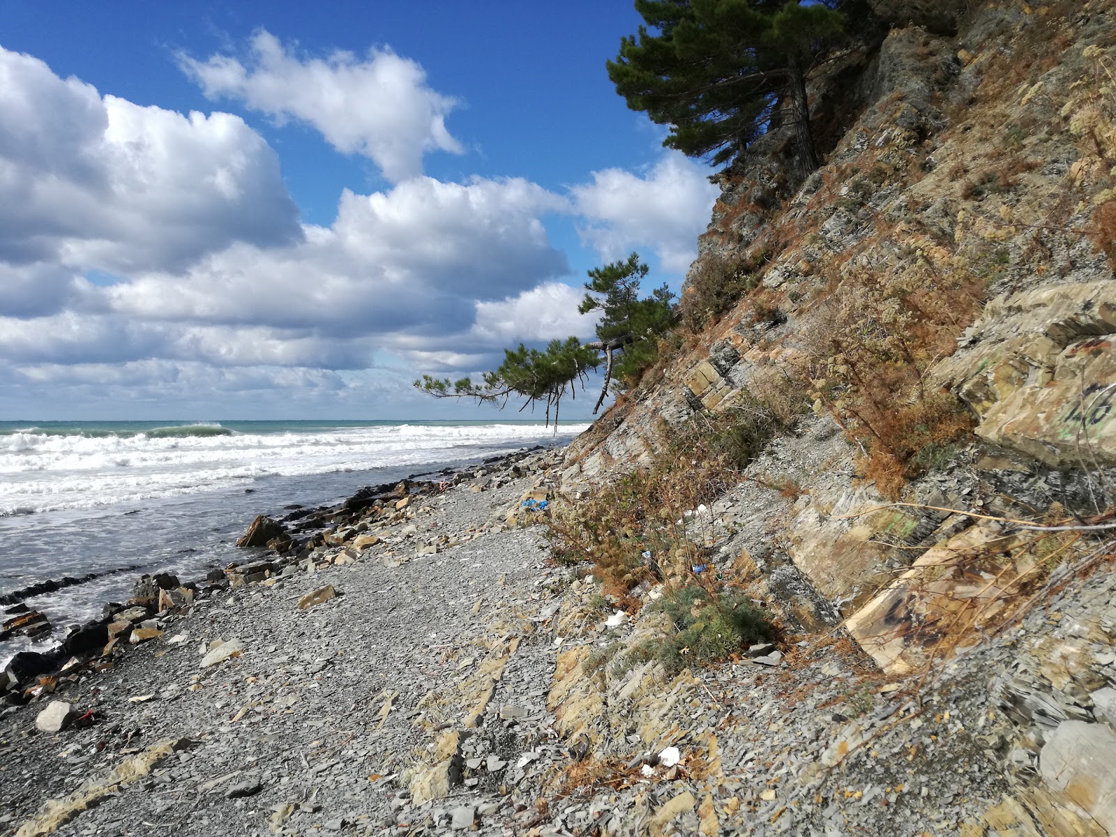 Photo de Agrias reserve beach avec un niveau de propreté de partiellement propre
