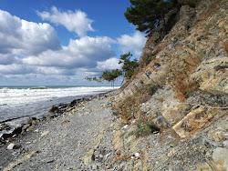 Photo de Agrias reserve beach zone sauvage