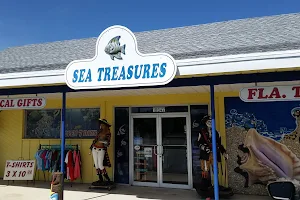 Sea Treasures image