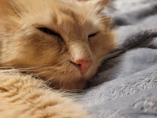 209 Main St E, Ashland, WI 54806, USA