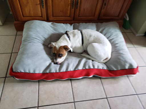 Department Store «HomeGoods», reviews and photos, 142 S Brand Blvd, Glendale, CA 91204, USA