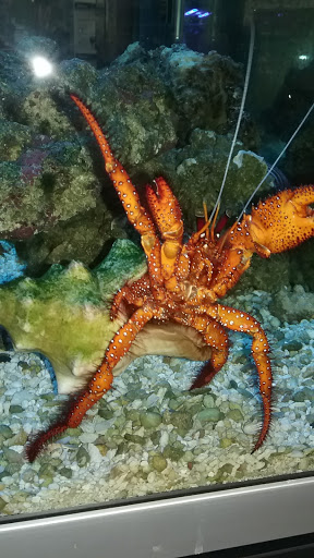 Club «All Pets Club», reviews and photos, 351 Boston Post Rd, North Windham, CT 06256, USA